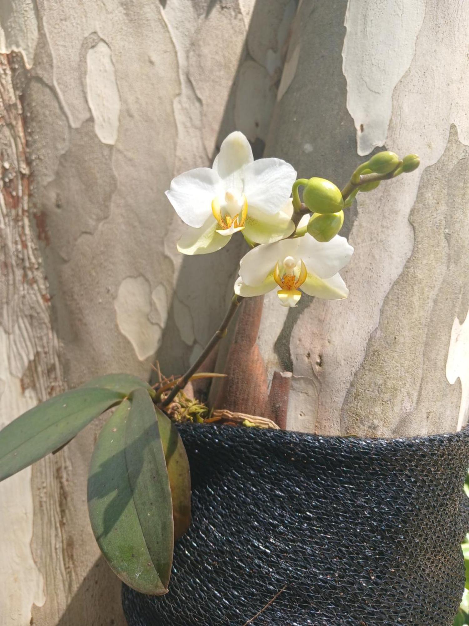 St George'S Guest House Tzaneen Pokoj fotografie